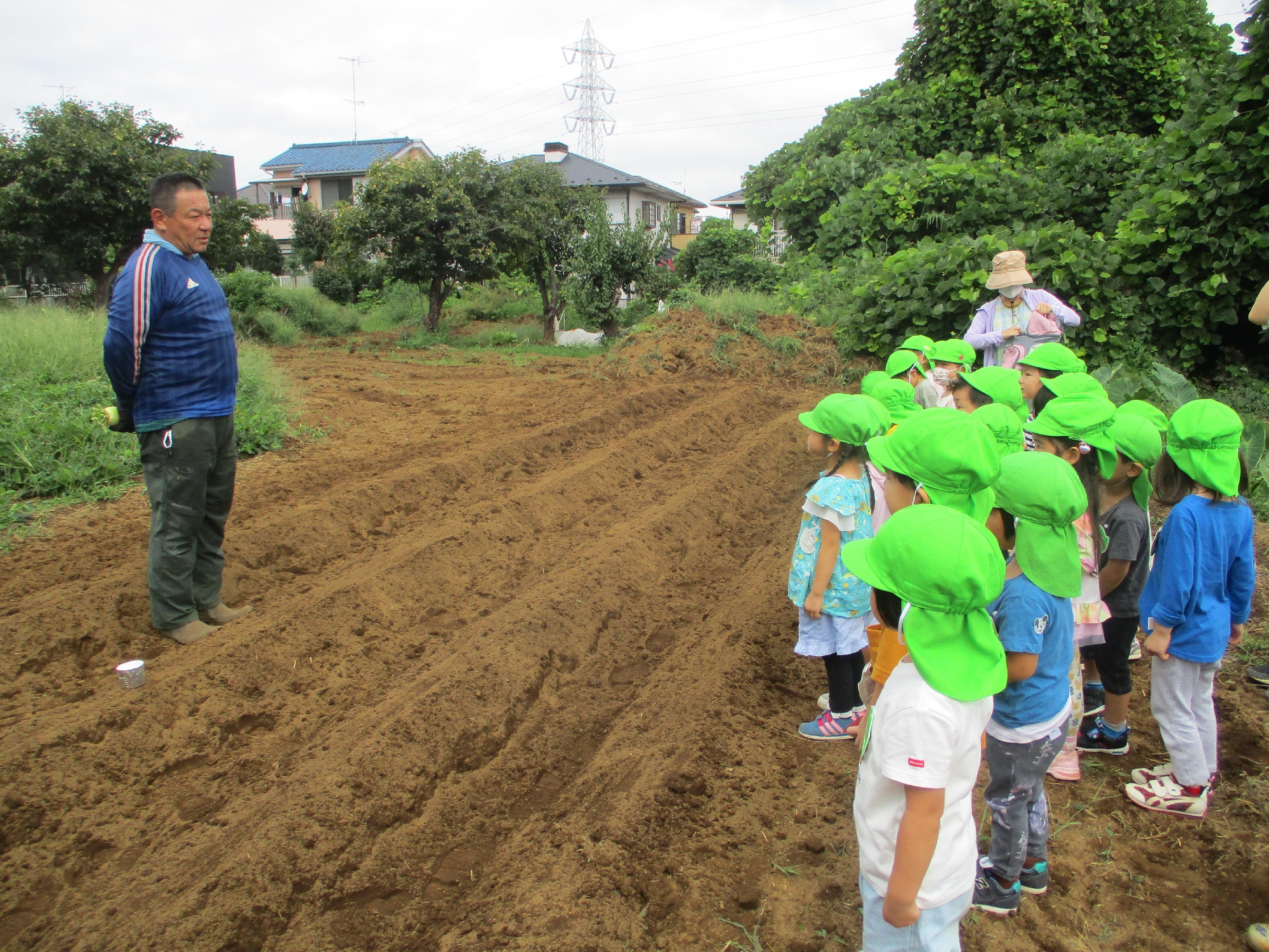 大根の種まきに行きました。（年少）